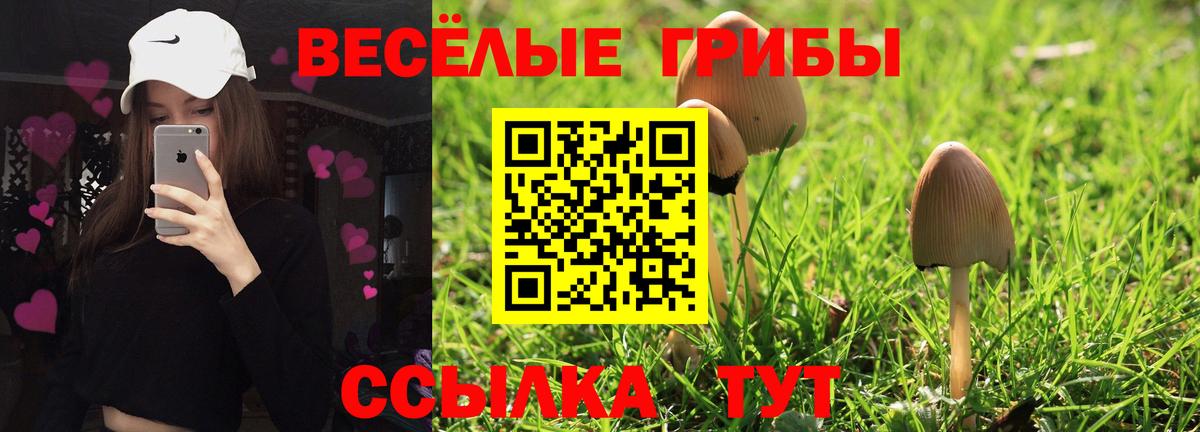 наркота  Вход с VPN  Дзержинский  Галлюциногенные грибы MAGIC MUSHROOMS 